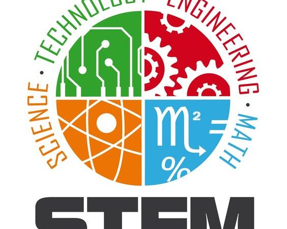 A High Level Webinar on the Status of STEM Education at Secondary School Level in Africa