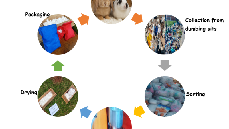 From Waste to Worth: Turning Diapers into Sustainable Solutions